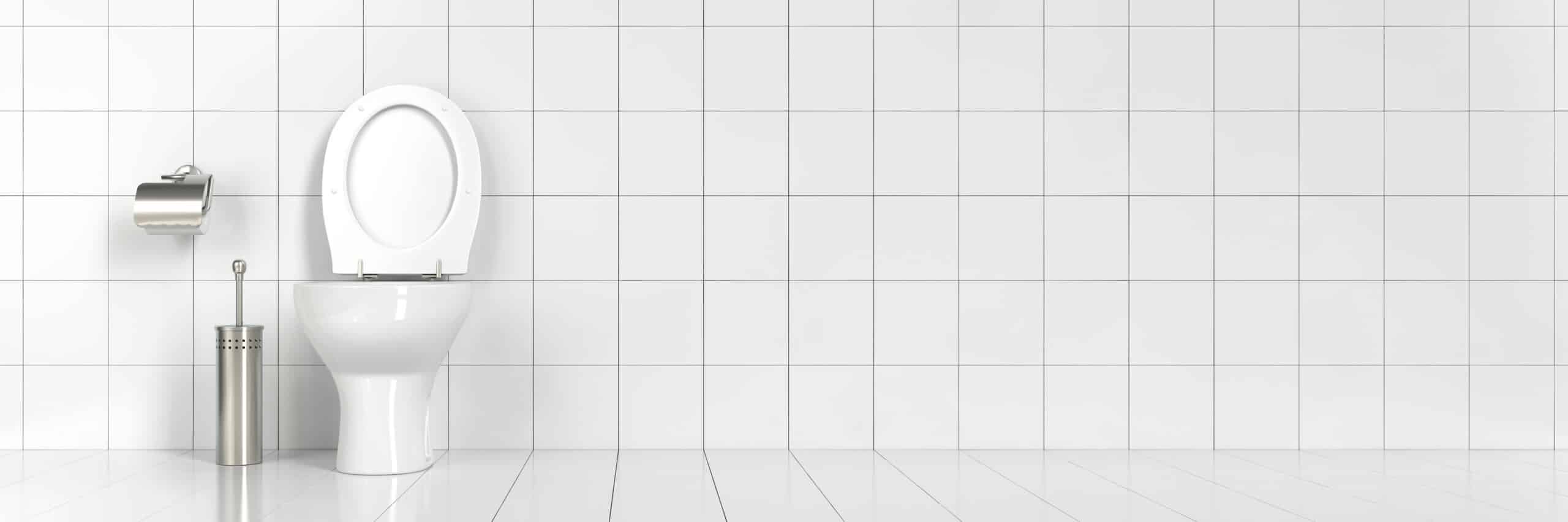 Complete Guide to Toilet Maintenance