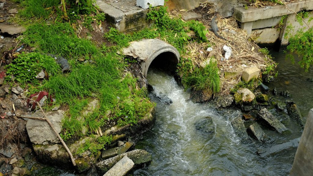 what-dissolves-tree-roots-in-sewer-lines-cornels-plumbing what dissolves tree roots in sewer lines cornels plumbing
